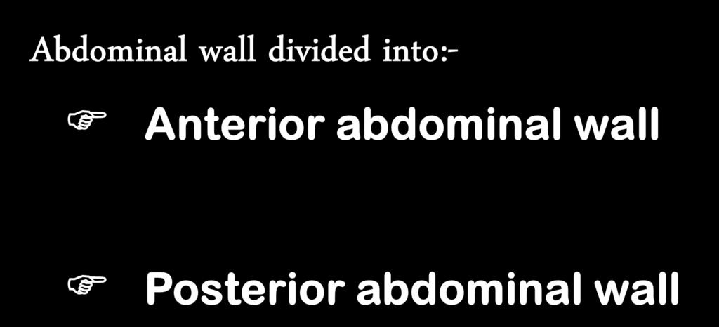 Abdominal wall divided into:- Anterior