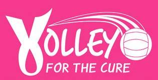 Partnership formed in 2008 Raised over $1,000,000 since inception Volley for the Cure is a registered mark of