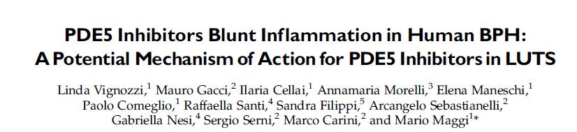 Inflammatory Score MetS, LUTS & ED: Inflammation 44 Pts treated with OP/TURP for persistent severe LUTS, refractory to medical