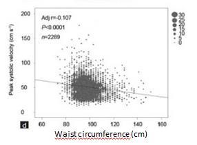 Peak systolic velocity (cm/sec) Increased WC is associated to more severe ED