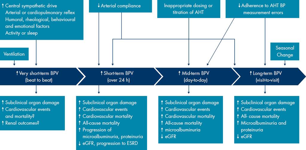 Different types of BPV, their determinants, and prognostic relevance Pronounced fluctuations in BP can occur over short- and long-term observation periods