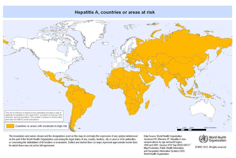 Hepatitis A persons working with HAVinfected primates or with HAV in a research laboratory setting Chronic liver disease Persons who receive clotting factor concentrates Persons traveling to or