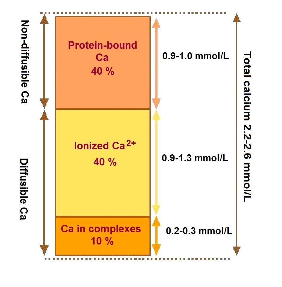 2.3 Calcium in serum Estimation of serum calcium represents a basic screening examination for assessment of calcium homeostasis. Calcium in serum exists in several forms (Fig.