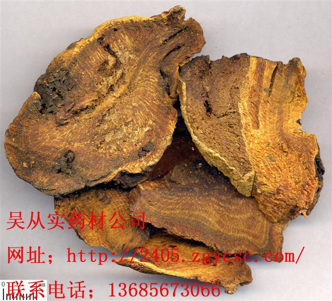 Tanguticum Maxim Pharmaceutical Name: Radix et Rhizoma Rhei When Harvested: September to October after the stem and leaves wither and