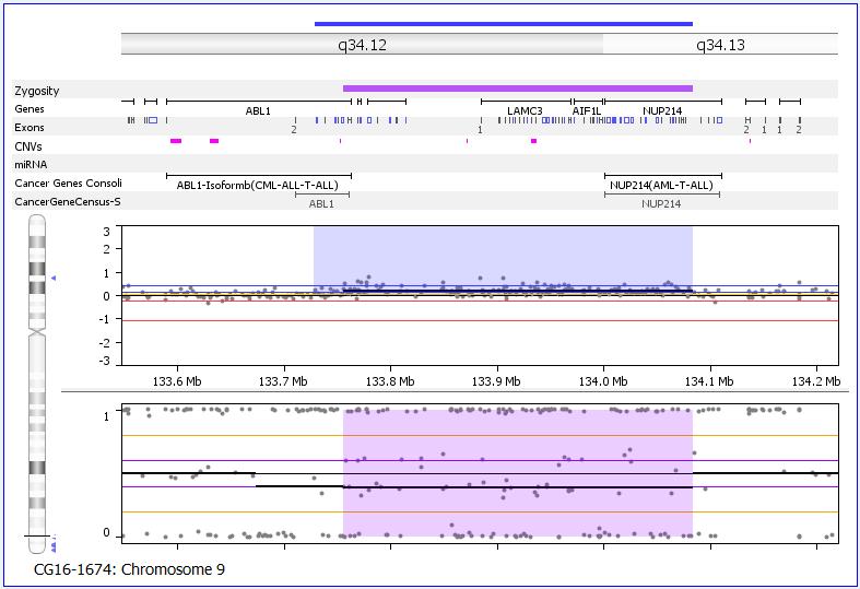 Follow-up - Microarray: Subclone Duplication at breakpoint of exon 2 on ABL1 gene to