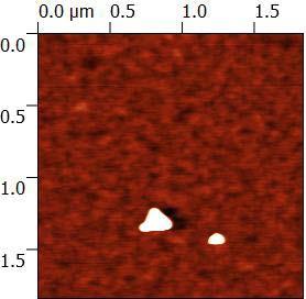 Defect Characterization - AFM fraction of monomer R a [nm] 100 % 1,5 82,4 % 0,9