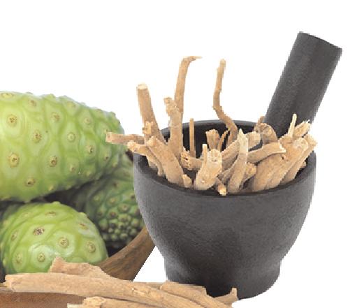 Noni has been used for overall Health rejuvenation, healthy heart rhyme,