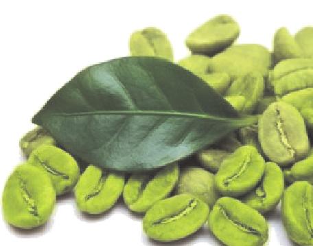 Green Coffee Bean offers antioxidant support *