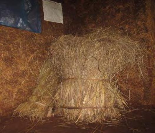 Due to the fact that it is less expensive and durable, 80% of farmers in the study area are using vetiver leaves for construction purposes (home, kitchen, toilet, traditional grain bin, beehives and