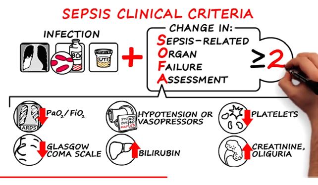 Definition Sepsis: Life-threatening Organ Dysfunction caused by a Dysregulated host Response infection to (JAMA Network, 2016) Septic Shock: Subset of sepsis with