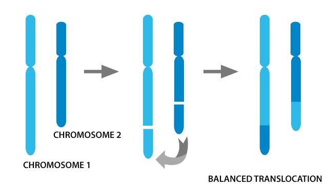 Chromosome Analysis Figure 7.