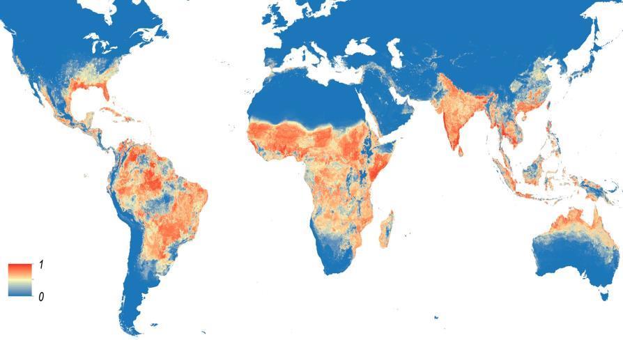 Possible Geographic Distribution of Aedes