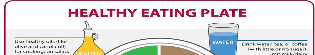 The American Healthy Eating Index(HEI) a measure of diet