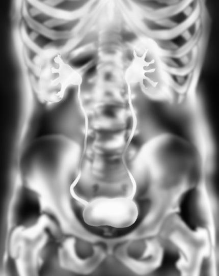 What are the imaging techniques? The health care provider can use several different imaging techniques depending on factors such as the person s general medical history and urinary tract symptoms.