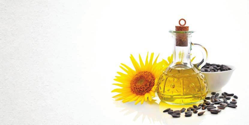 SUNFLOWER OIL Contains unsaturated fatty acids, vitamins A, E, and D, and calcium, magnesium, phosphor, and lecithin 700