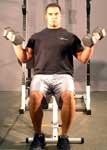 Seated Dumbbell Curl Tips: Sit at the end of a bench with your feet firmly on the floor. Keep your back straight and head up. Start with the dumbbells at arm's length and your palms facing in.