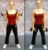 Turn your palms up and curl both dumbbells up toward your shoulder.