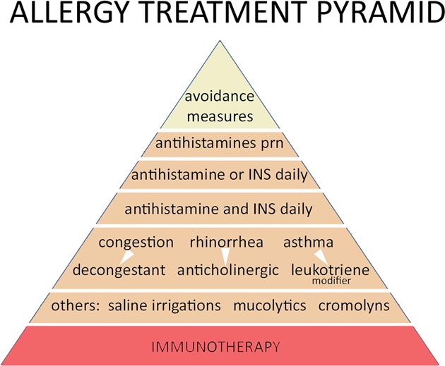 Allergy medications corticosteroid spray should consider the onsets of action.