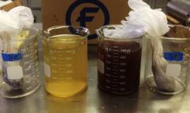 (b) filtering the pulp out, (c) DLK extract with Carbotac, (d) SCP extract with