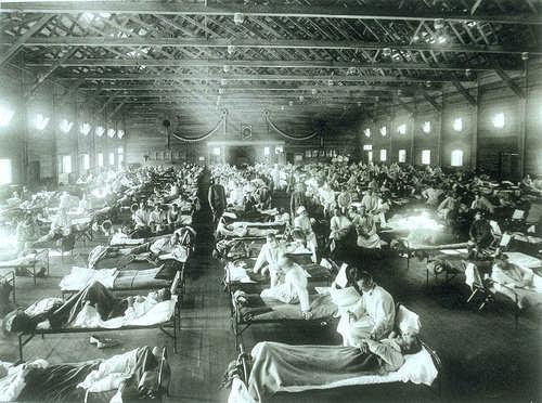 Spanish Flu The Spanish flu, or La Grippe, was a pandemic that affected the entire world from 1918-1919. It was an H1N1 aviantype virus. More people died from influenza than in WWI.