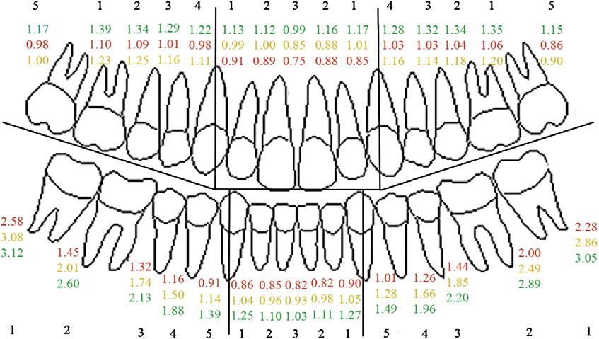 234 Baumgaertel and Hans American Journal of Orthodontics and Dentofacial Orthopedics August 2009 Fig 5.