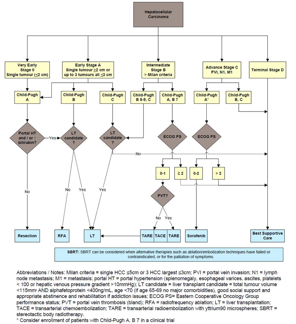 C) TREATMENT Algorithm for the Management of HCC According to the Updated AHS Clinical Practice