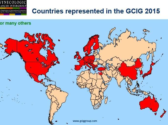 GCIG Current situation and Challengues Currently 29 groups are GCIG members.