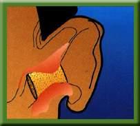 be inserted properly into the ear