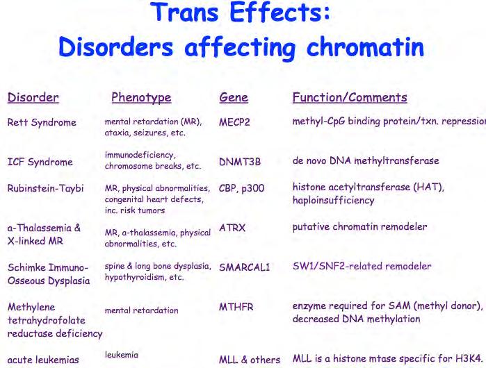 Trans Effects: ICF Syndrome In 1999, three labs independently reported that ICF was due to mutations in the DNA methyltransferase, DNMT3B.