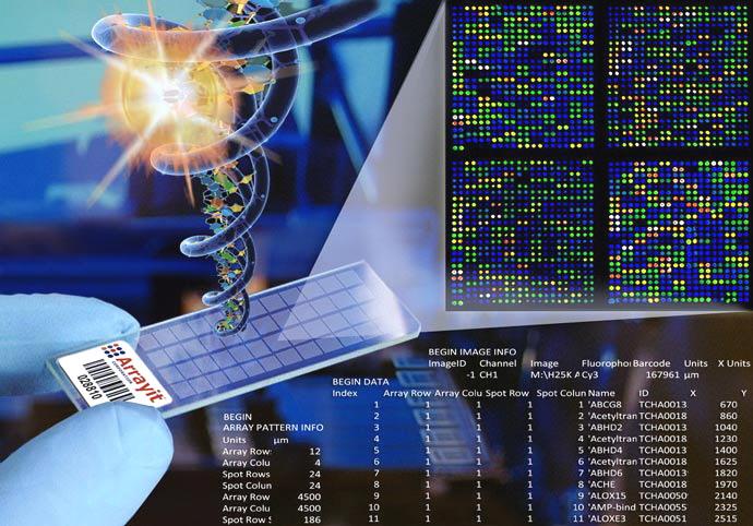 Era of genomic medicine Genomic medicine: an emerging practice of medicine that involves using genomic data to better