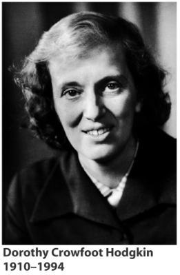 Also Dorothy Crowfoot Hodgkin solved the X-ray crystal structure of vitamin B 12 and received the Nobel Prize for her efforts.