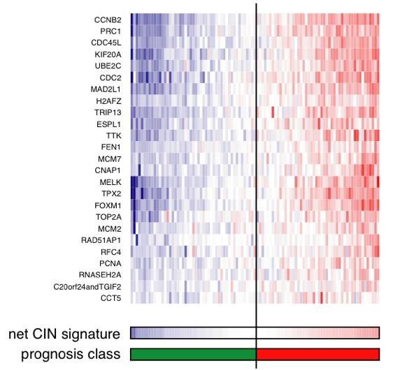 Another simple classifier The average of 25 correlated genes CIN = Chromosomal