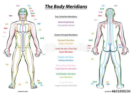 Meridian flow around the body Pain or weakness is