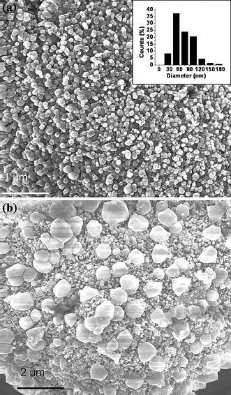 Scanning electron microscope images of ZnO nanoparticles Spherical shaped