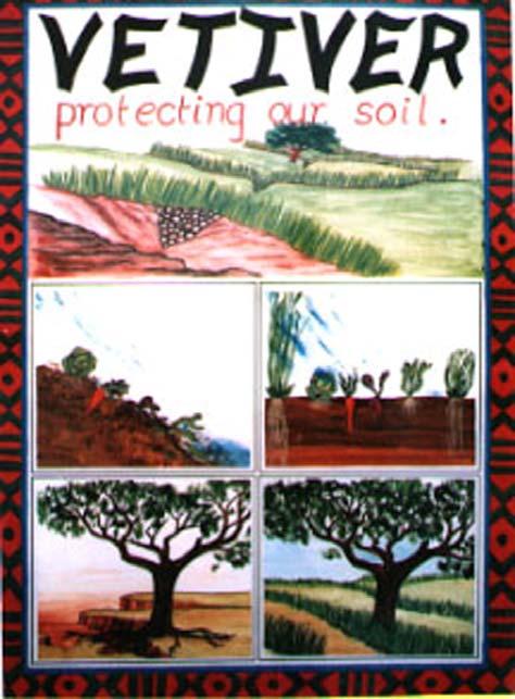 South Africa Used there since colonial times Many promoters, NGOs, mining companies, soil conservationists Developed one of the first county networks led by Tony Tantum and Duncan Hay Spearheaded