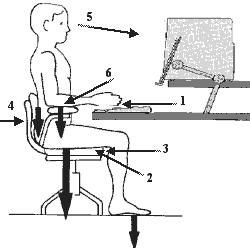 What features should a good ergonomic office chair possess? Elbow Measure.