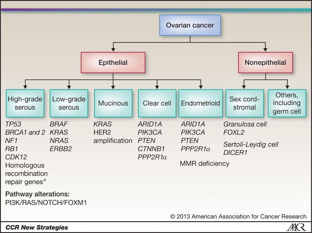 Histologic subtypes of epithelial ovarian carcinoma and associated mutations/molecular aberrations.