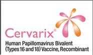 End Point by Lesion Type HPV 6/11/16/18 CIN GARDASIL * (n=2,241) Placebo *