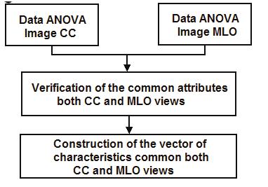 Fusion of Two-View Information: SVD Based Modeling for Computerized Classification of Breast Lesions on Mammograms Fusion of Two-View Information: SVD Based Modeling for Computerized Classification