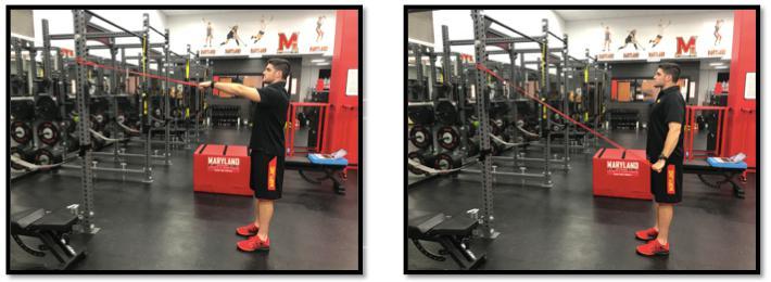 Focus on using the back of your shoulder to accomplish this rotation. Return to starting position in a slow and controlled manner.