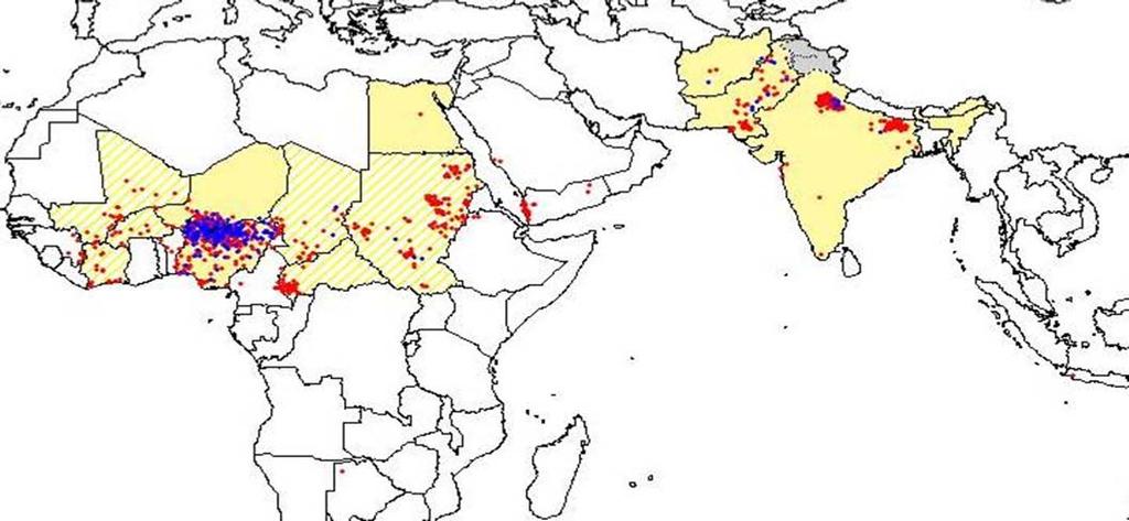 Spread of wild polio virus 2004-2005 2005 16 polio-free countries had importations originating in Nigeria