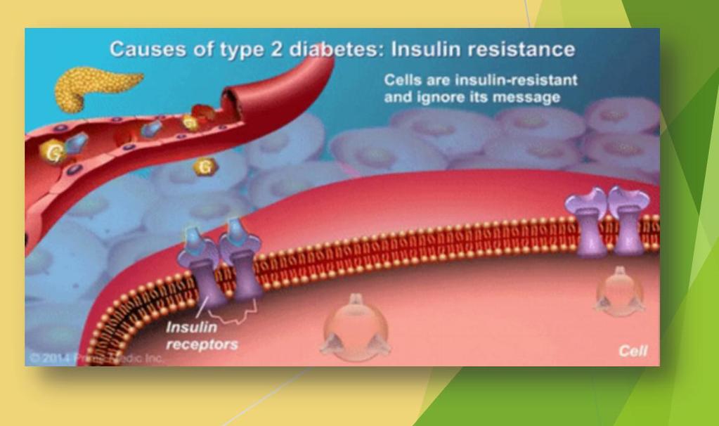The body is not able to make insulin.