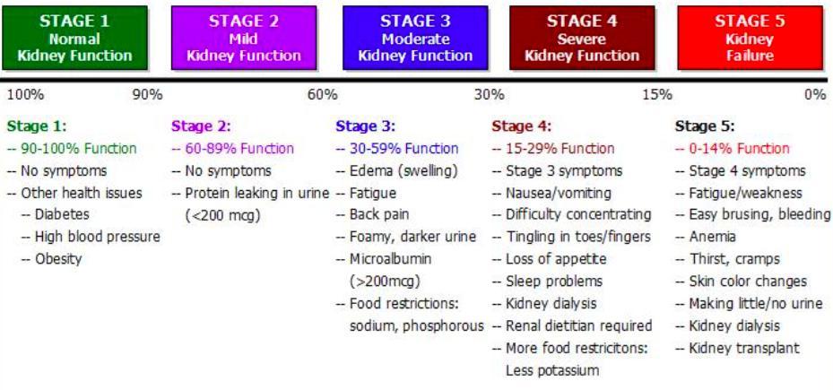Stages of
