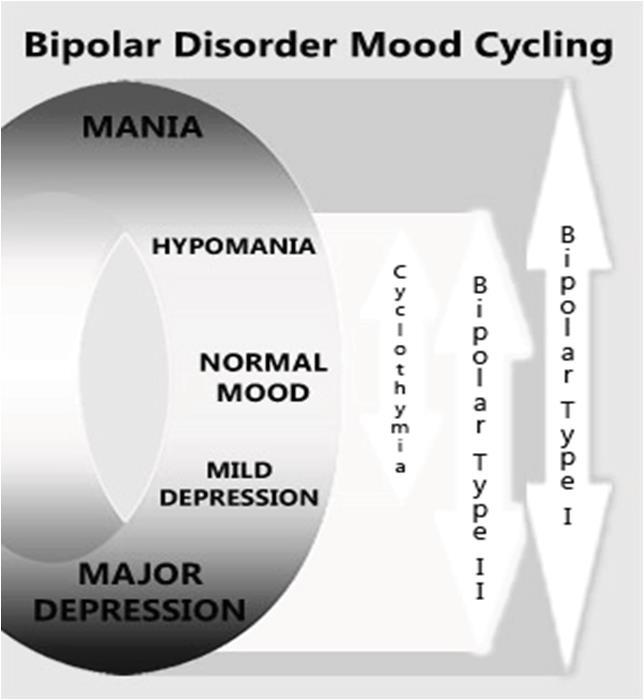 Subtypes Bipolar I disorder Bipolar II disorder