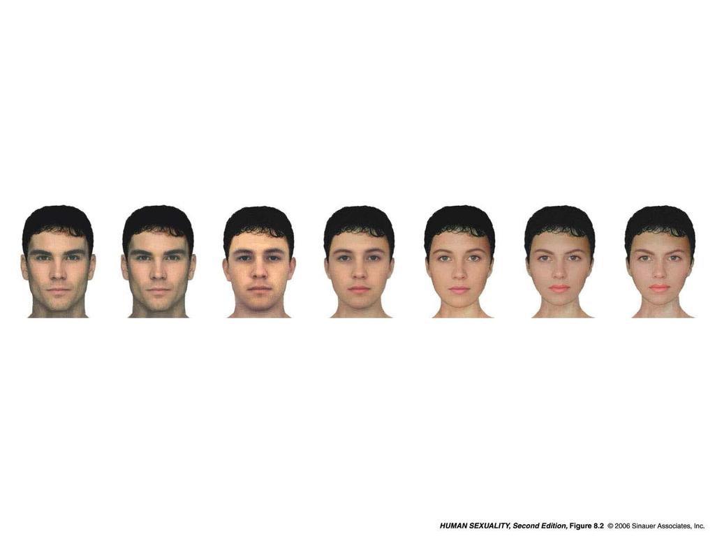 The face that changes sex Women find more masculine faces more attractive