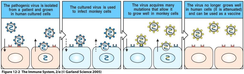 Traditional Attenuation Pathogens grown in unnatural hosts,