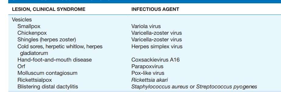 Infections Associated with Vesicles