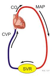 Mean arteriole pressure Pressure driving blood into the tissues