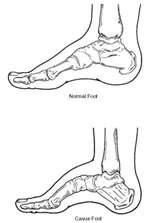Vascular Assessment: This involves the manual palpation of the dorsalis pedis and posterior tibia pulses in both feet. Location of these pulses are shown on figure D.
