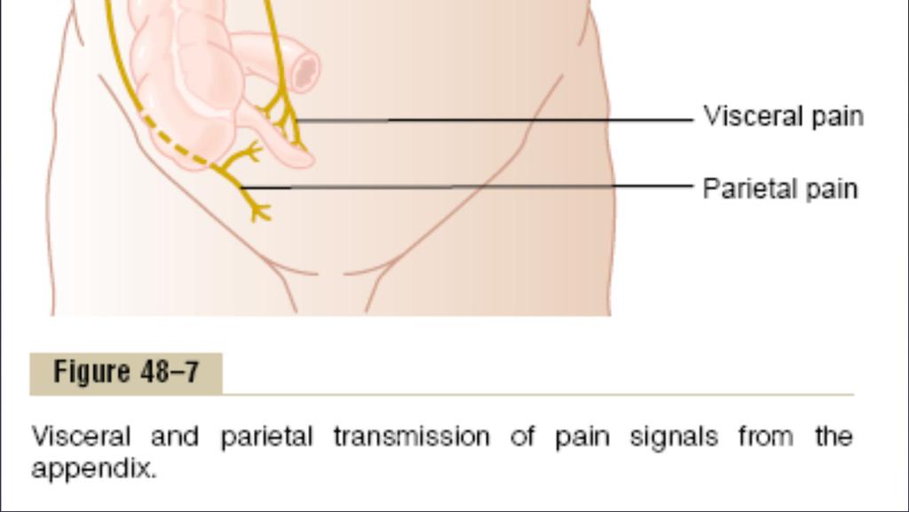 Transmission Pathways When pain is both
